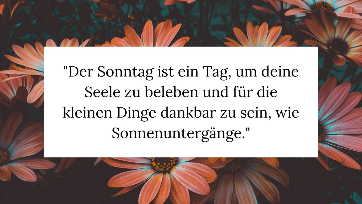 ᐅ 50 Lustige Sonntagssprüche Lachen am Tag der Ruhe Geburtstag Text